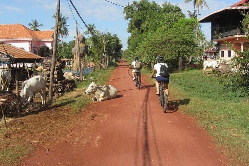 riding through the countryside
