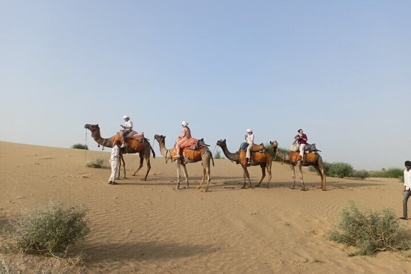 Camel train