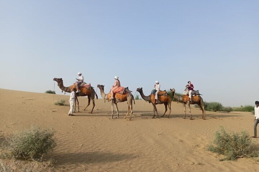 Camel train