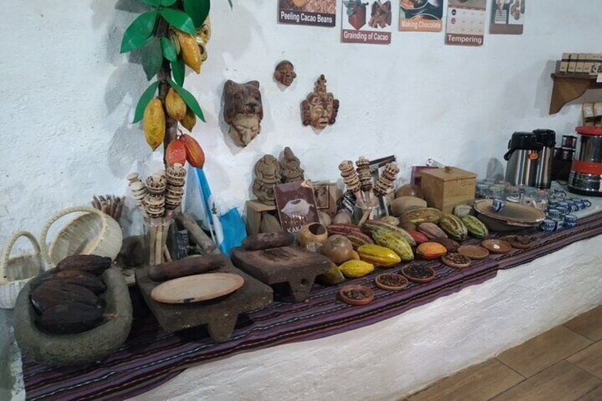 Cacao fruit process.