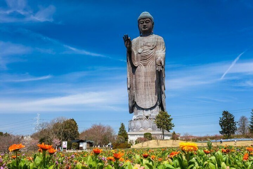 Hitachi Seaside Park, Ushiku Daibutsu and Mentai Park in Tokyo