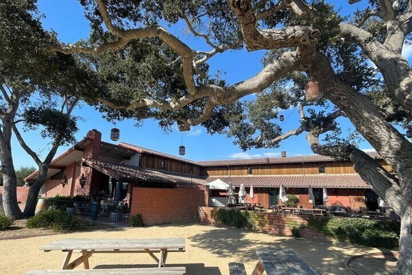 Santa Barbara Guided Wine Country Adventure from Westlake Village