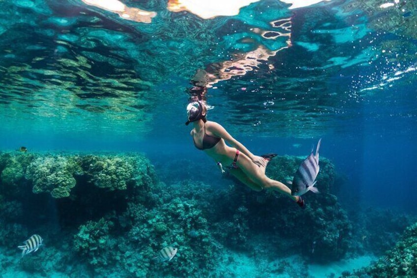 Bali Blue Lagoon Snorkeling Experience All Inclusive