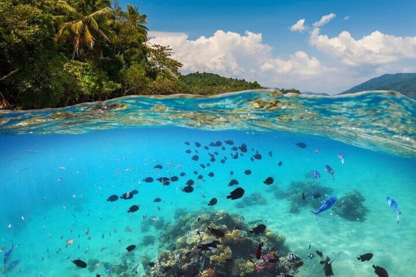 Bali Blue Lagoon Snorkeling Tour All Inclusive