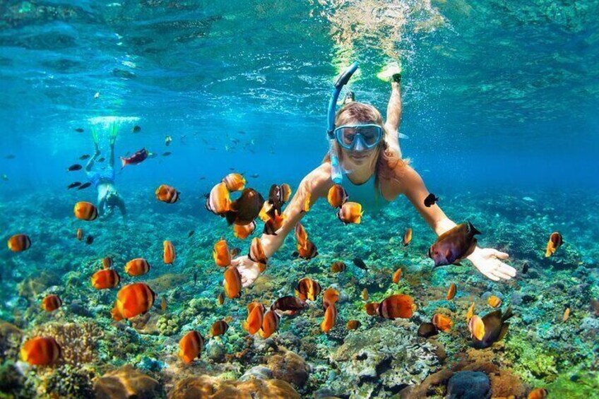 Bali Blue Lagoon Snorkeling Experience All Inclusive