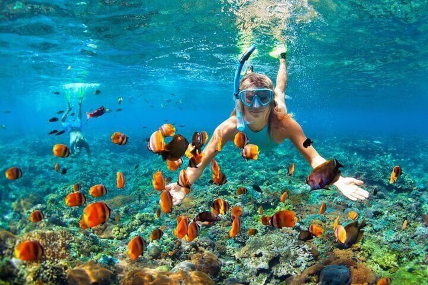 Bali Blue Lagoon Snorkeling Experience All Inclusive