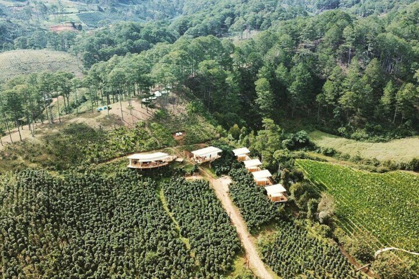 Coffee Farm Tour with Tasting and Workshop at Da Lat