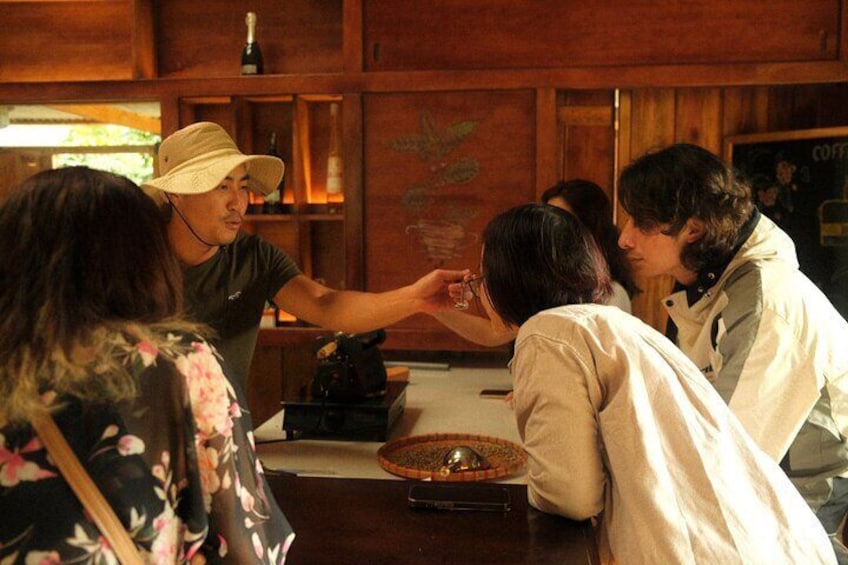 Coffee Farm Tour with Tasting and Workshop at Da Lat