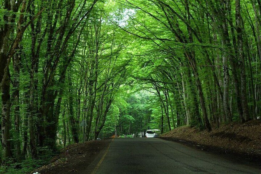 Quba is one of the most beautiful corners of Azerbaijan, which is famous for its picturesque views, historical sights, of course its apple orchards, handmade carpets, sweets.