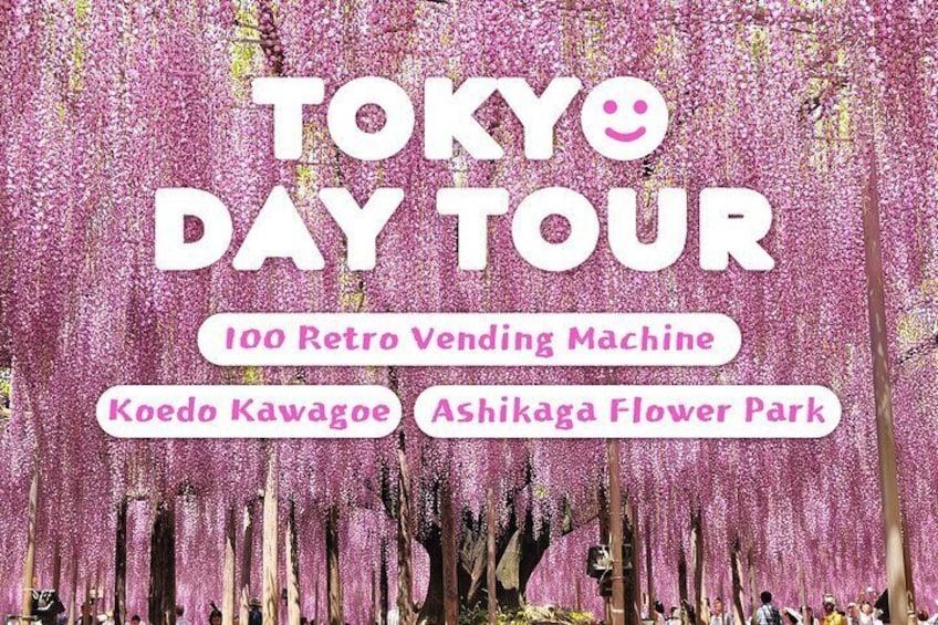 Tokyo Spring: Ashikaga Flower Park, Kawagoe & 100 Vending Machine