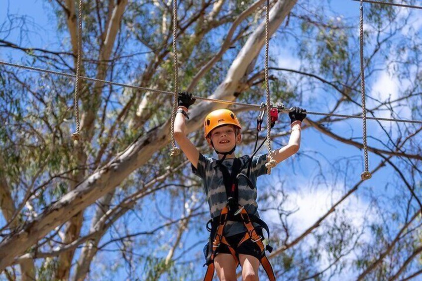 Take the Challenge and Conquer the Salisbury Treetops