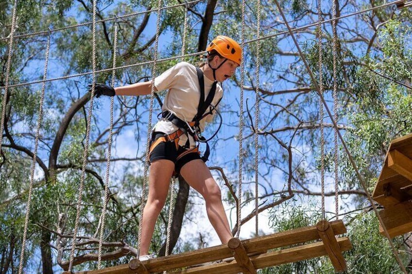 Take the Challenge and Conquer the Salisbury Treetops