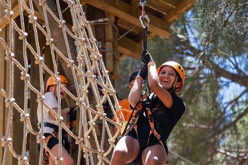 Take the Challenge and Conquer the Salisbury Treetops