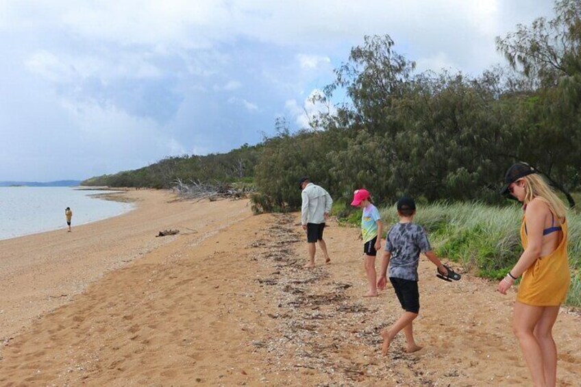 Beach exploring 