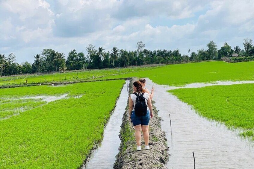 Biking Tour in The Pineapple Villages