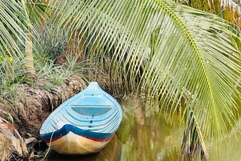 Biking Tour in The Pineapple Villages