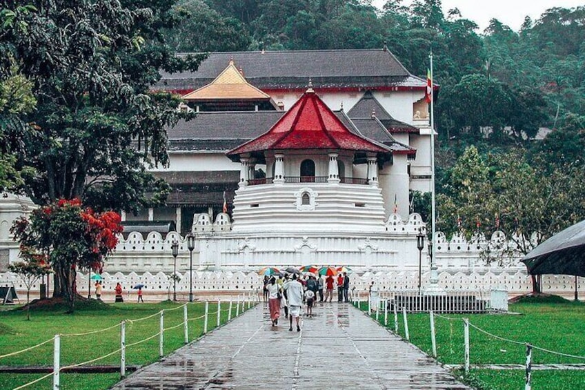 Kandy All Inclusive Day Tour from Colombo