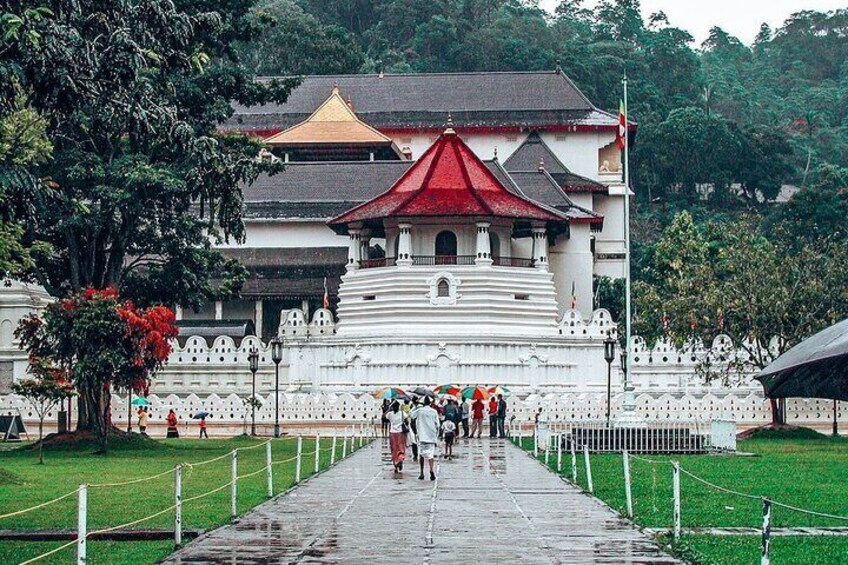Kandy All Inclusive Day Tour from Colombo
