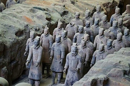 Terra-cotta Warriors Show Entrada opcional para Terra-cotta Warriors