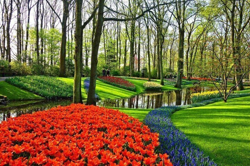 Windmills & Keukenhof Gardens and Tulip Fields Tour from Amsterdam