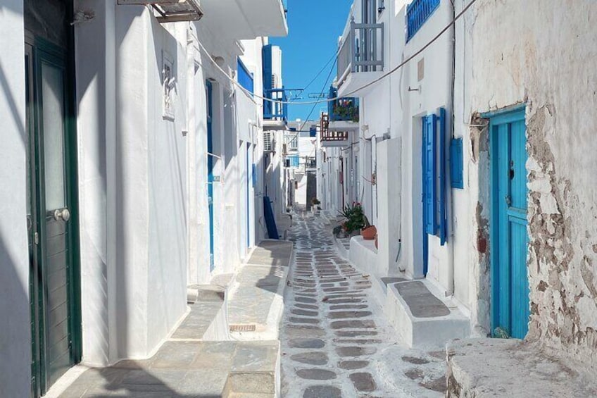 Mykonos 8 Hours Private Tour All Inclusive (Up To 7)