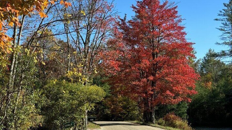Signature Vermont Wayfinders Private Guided Tour
