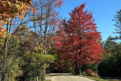 Signature Vermont Wayfinders Private Guided Tour