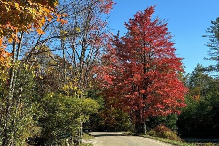 Signature Vermont Wayfinders Private Guided Tour