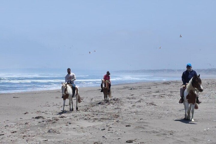 Ritoque Beach