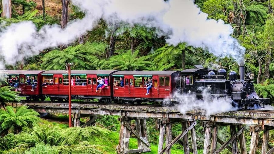 Melbourne: Puffing Billy & Healesville Sanctuary Scenic Tour