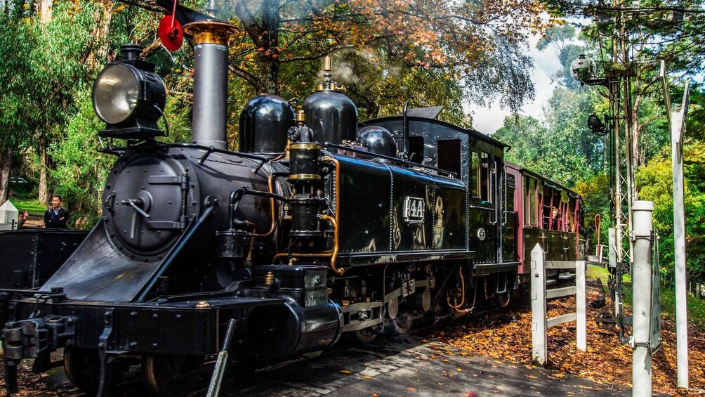 Picture 8 for Activity Melbourne: Puffing Billy & Healesville Sanctuary Scenic Tour