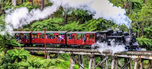 Melbourne: Puffing Billy & Healesville Sanctuary scenisk tur