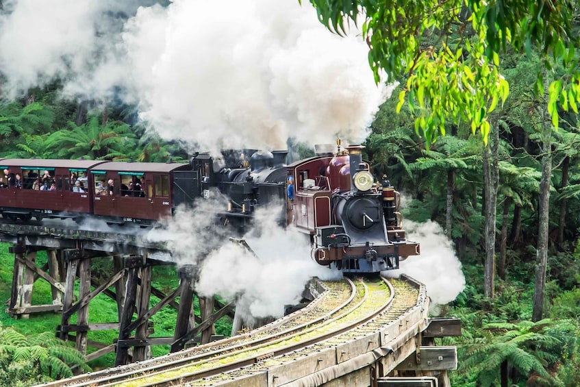 Picture 9 for Activity Melbourne: Puffing Billy & Healesville Sanctuary Scenic Tour