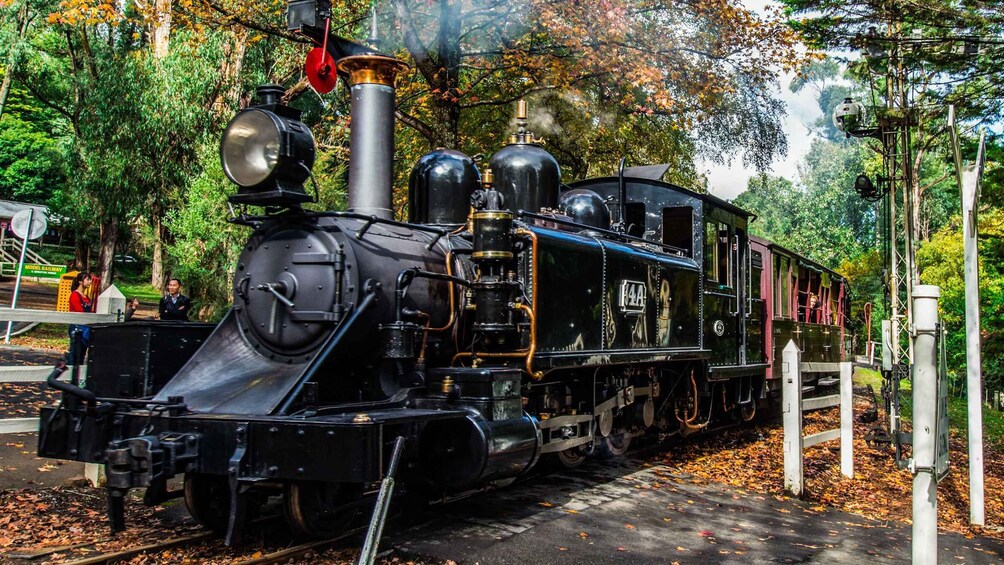 Picture 8 for Activity Melbourne: Puffing Billy & Healesville Sanctuary Scenic Tour