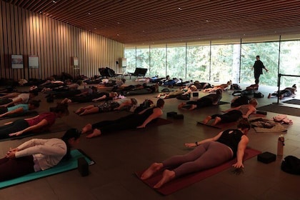 Yoga + Museum Gallery Experience in Whistler