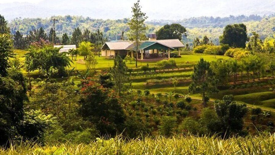 Croydon In The Mountains