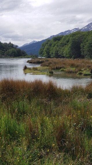 Picture 5 for Activity Ushuaia: Private Tour Tierra del Fuego National Park