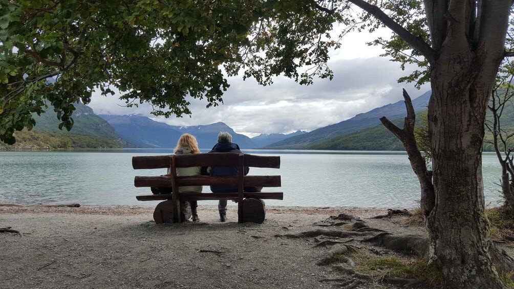 Picture 6 for Activity Ushuaia: Private Tour Tierra del Fuego National Park