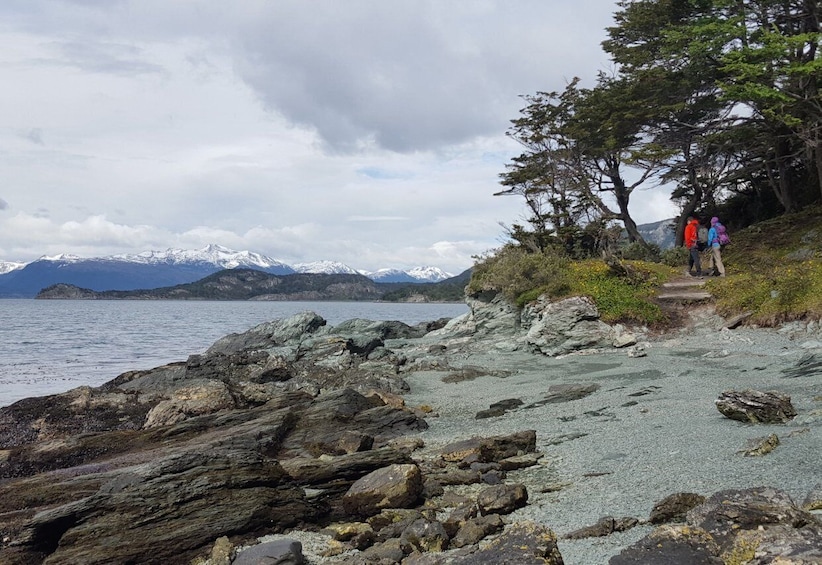 Picture 4 for Activity Ushuaia: Private Tour Tierra del Fuego National Park