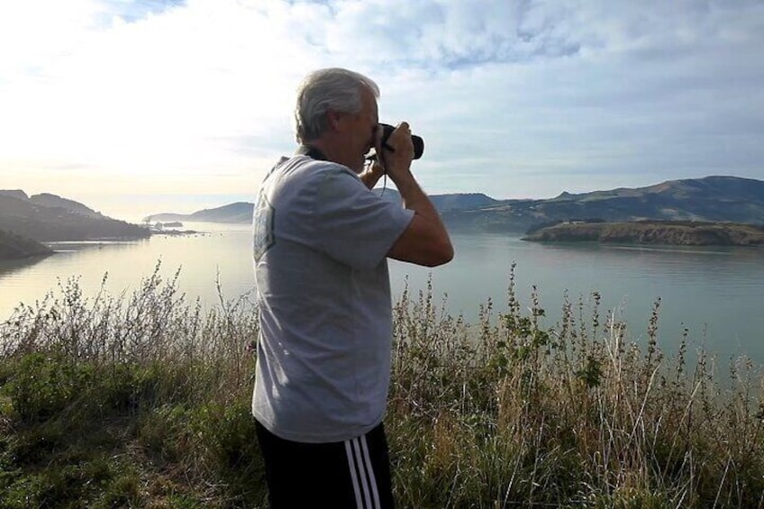 Christchurch Harbour, Hills and Beach Private Half Day Tour