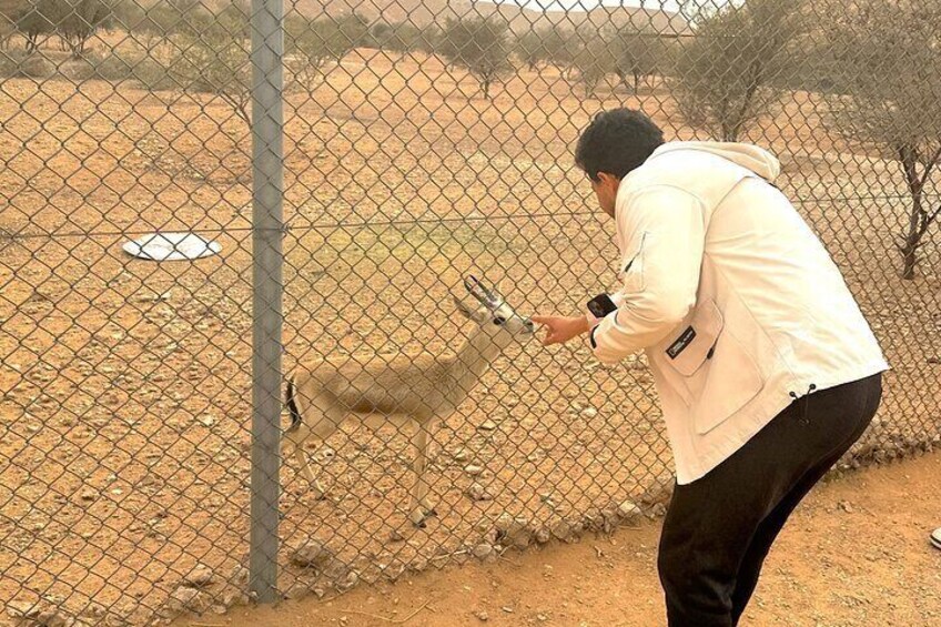 Edge of The World & Deer Sanctuary 4x4 Car Tour in Riyadh
