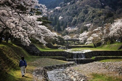 Yoro Falls and Mt. Gozaisho Scenic Ropeway from Nagoya