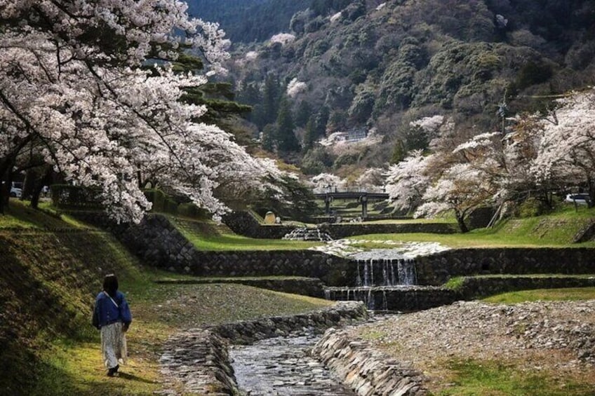 Nagoya Yoro Falls and Mt. Gozaisho Scenic Ropeway