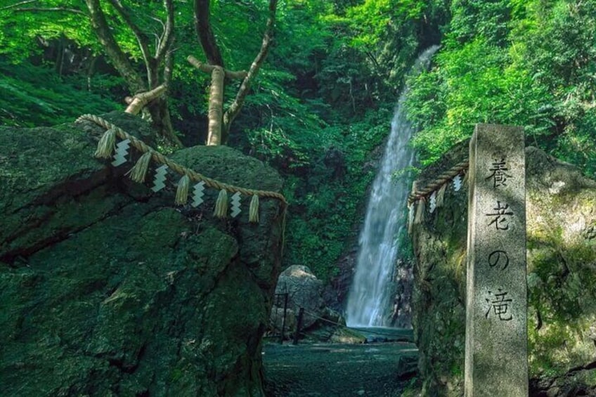 Nagoya Yoro Falls and Mt. Gozaisho Scenic Ropeway