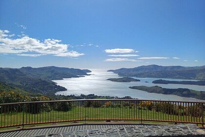 Half-Day Christchurch Scenic Highlights Shore Excursion