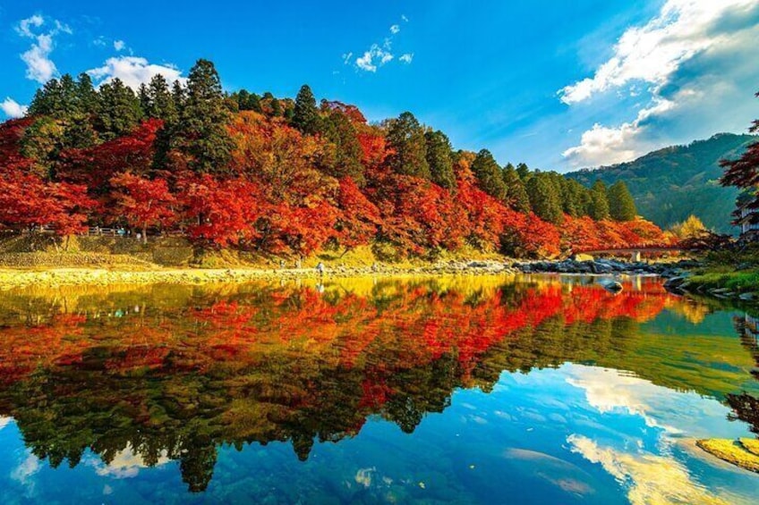 From Nagoya: Korankei Gorge and Picturesque Fox Shrines