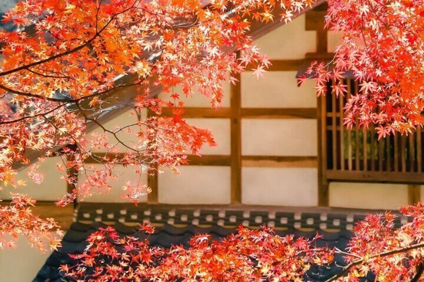 From Nagoya: Korankei Gorge and Picturesque Fox Shrines
