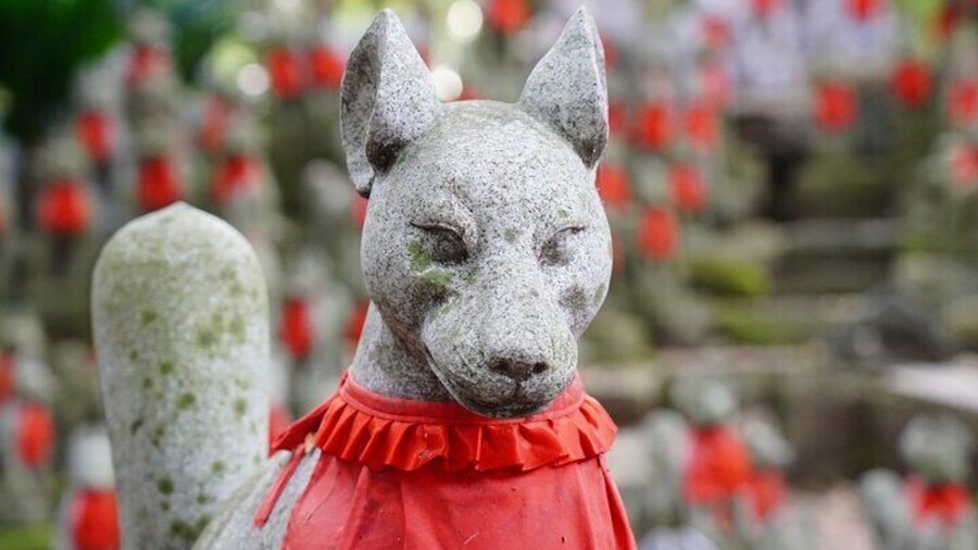 From Nagoya: Korankei Gorge and Picturesque Fox Shrines