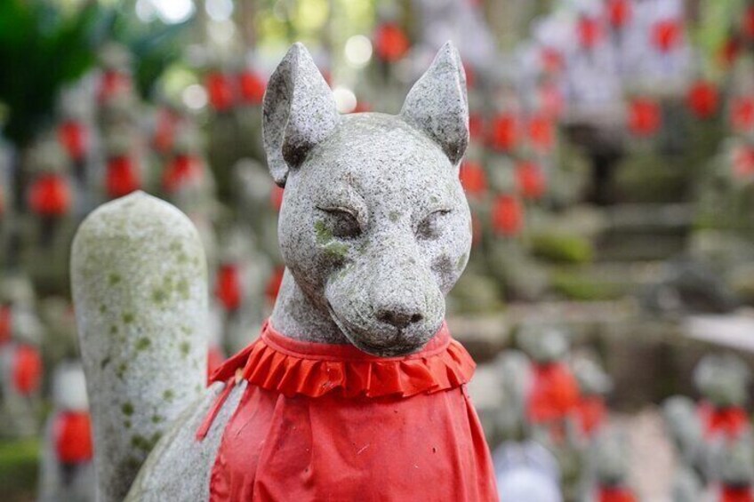 From Nagoya: Korankei Gorge and Picturesque Fox Shrines