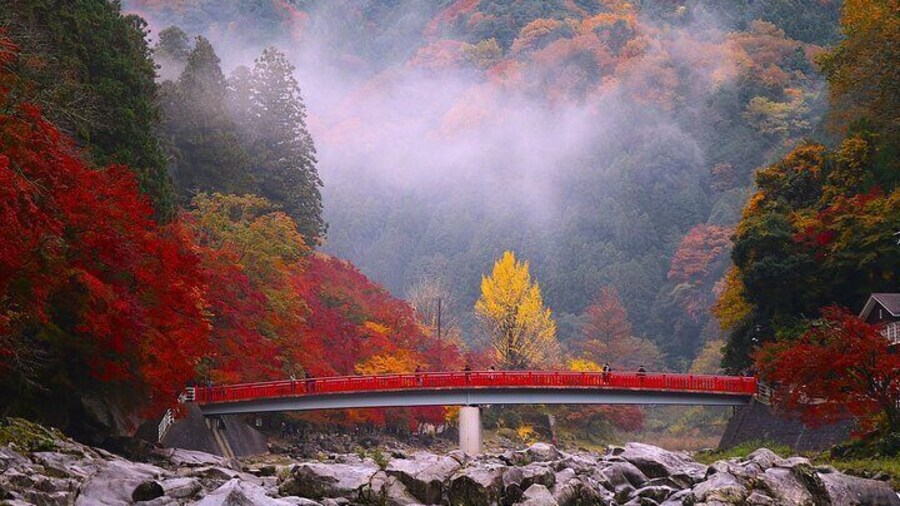From Nagoya: Korankei Gorge & Toyokawa Inari